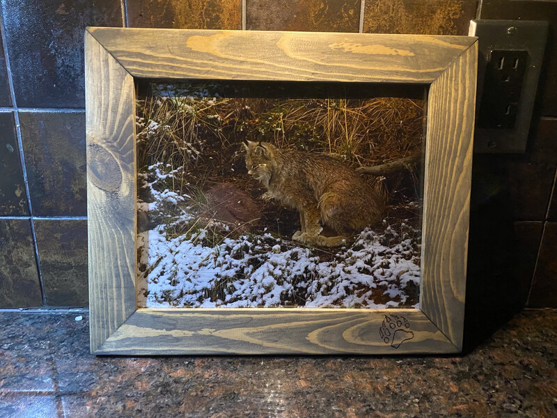 NEW PRODUCT 8x10 Select Pine Handmade Frame   C/W Your Choice Of Print