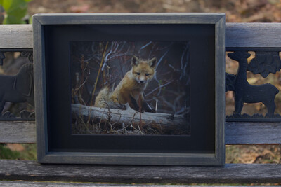 Red Fox Kits “ buddies” Done as 8x10 Mat Finish High Quality Print , Matted Frame Is11x14