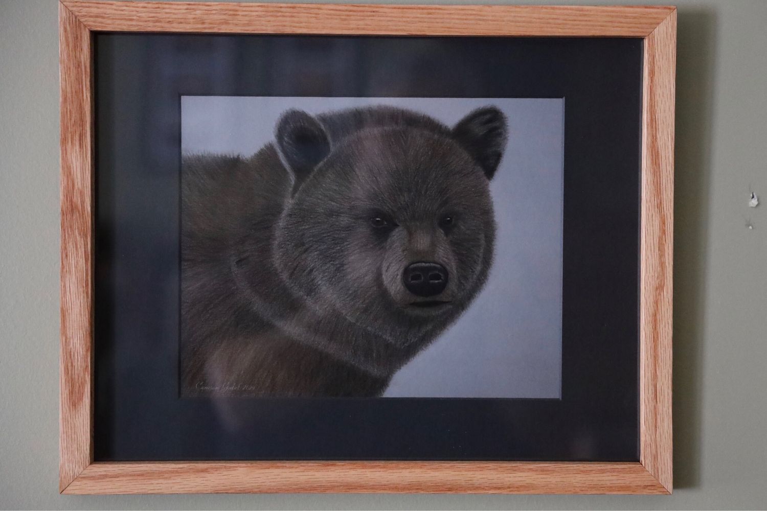 This Is A Head Shot Of A Huge Grizzly 16x20 Matted And Framed