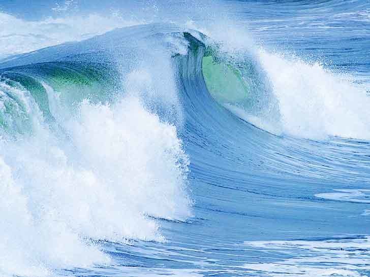 FLOWEY - E22-O-1 Fresh Ocean 1L FLOWEY - E22-O-1 Fresh Ocean 1L