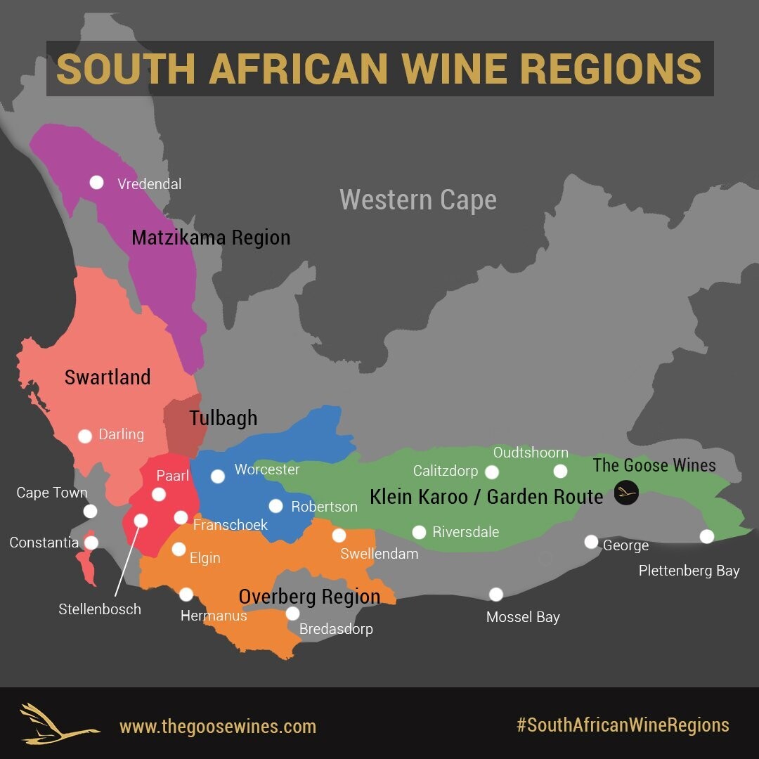 South African Wine Tasting - 3/3/23