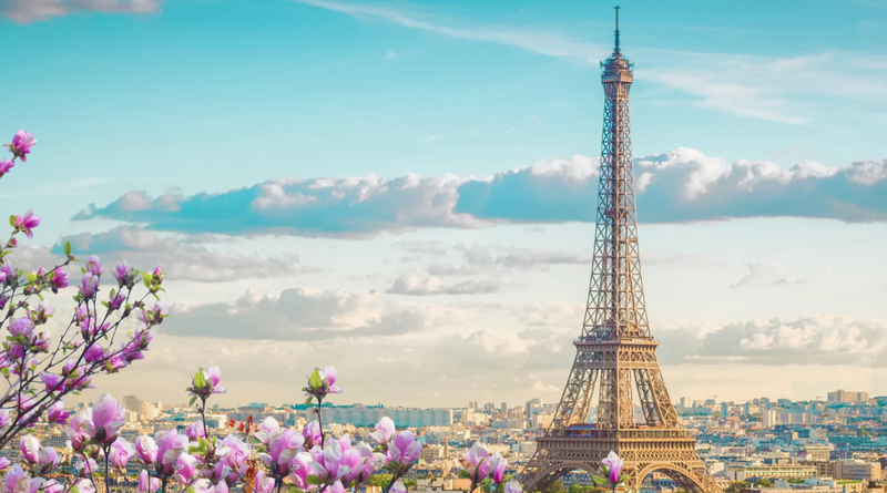 Flavors of France Wine Tasting - 6/6/2024