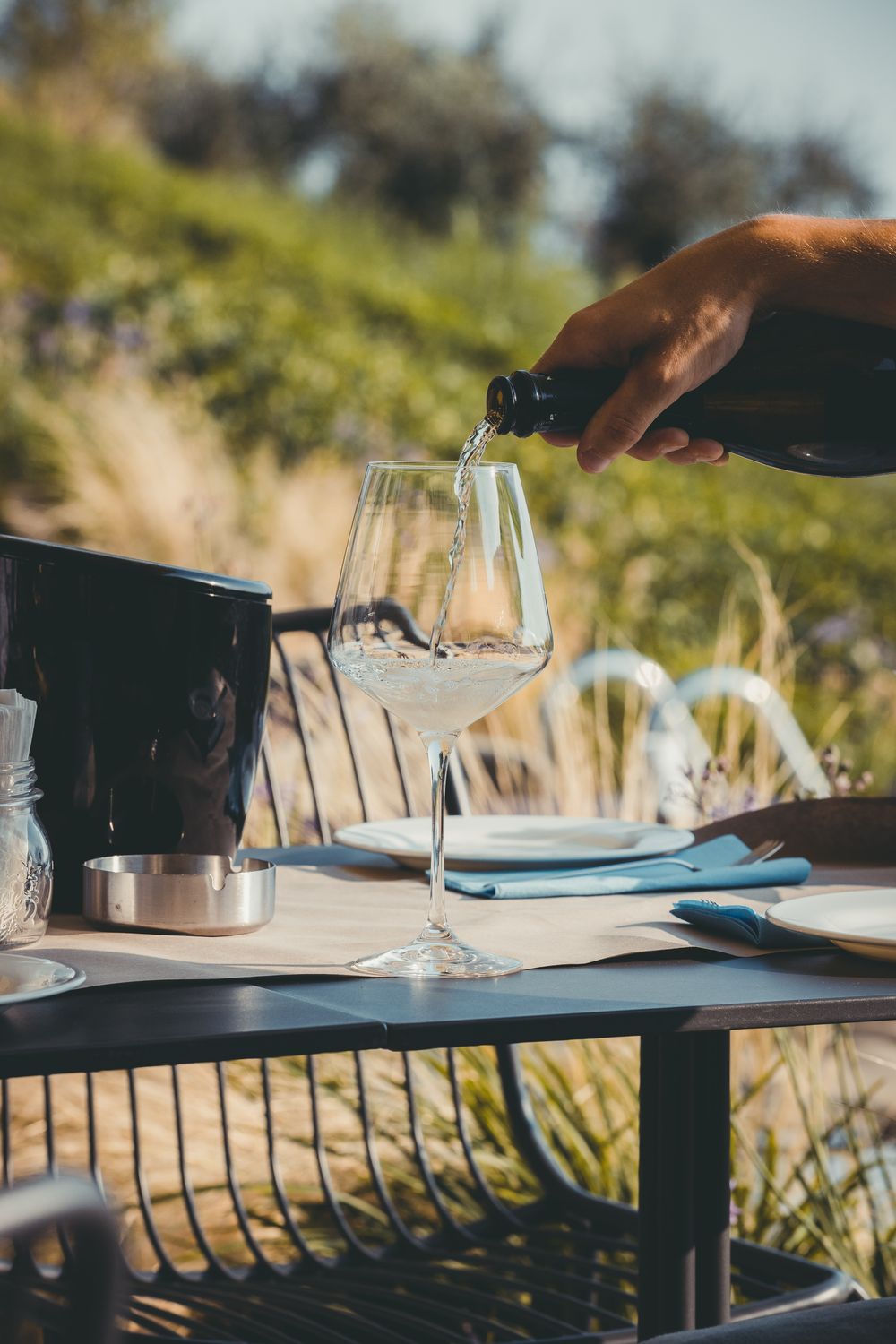 &quot;Golden State of Wine&quot; - 9/5/2025