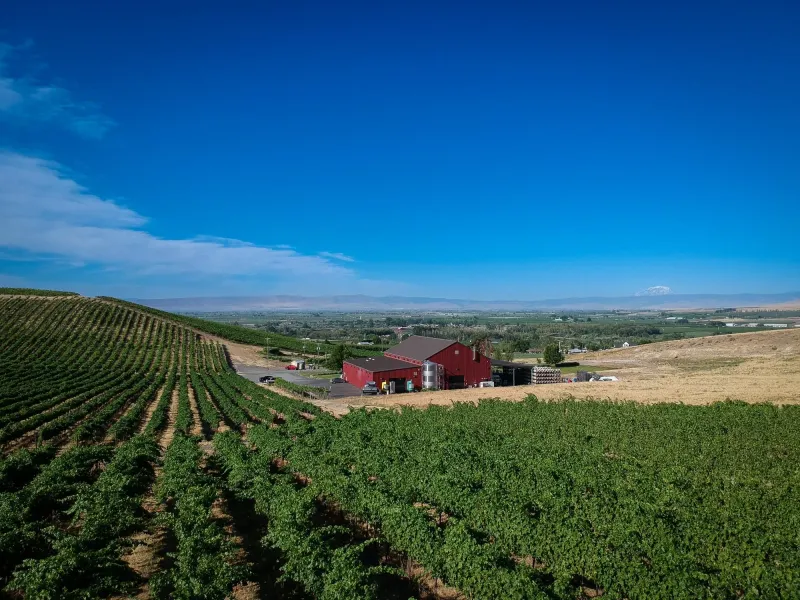 Owen Roe Wine Tasting – 5/1/2026