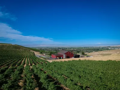 Owen Roe Wine Tasting – 5/1/2026