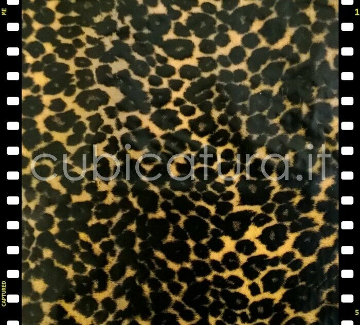 NEW-GHE2