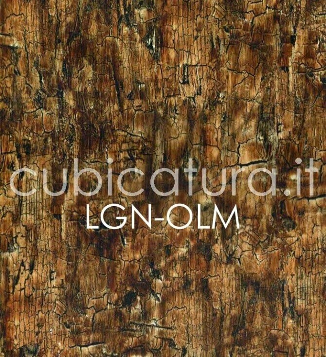 LGN-OLM