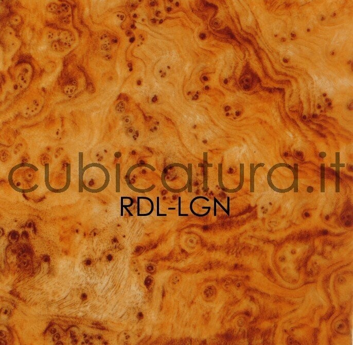 RDL-LGN