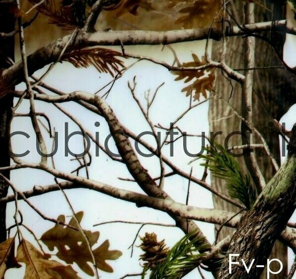 FV-P