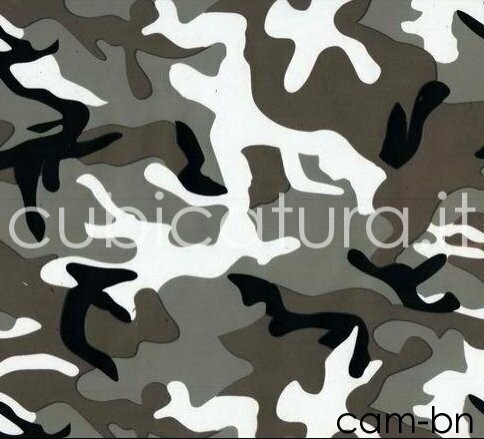 CAM-BN