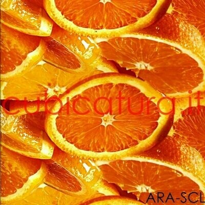 VRI-ARA-SCL VRI-ARA-SCL