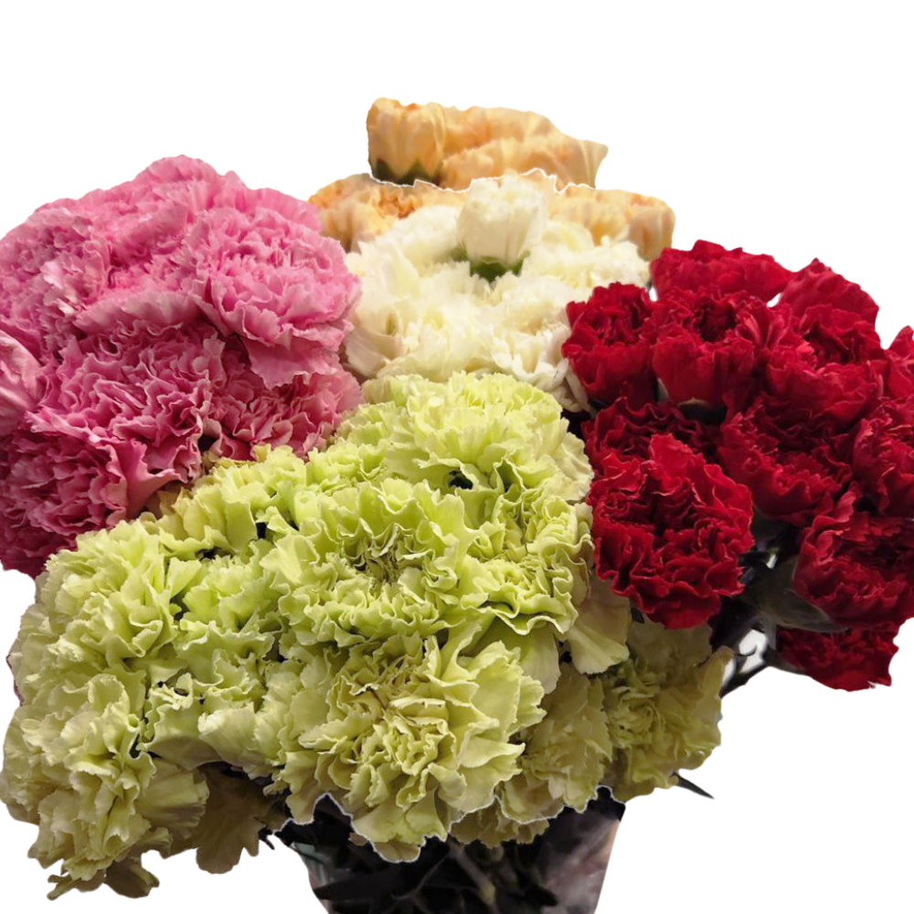 Carnation mix