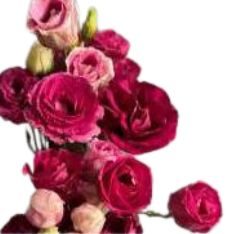 Eustoma double red wine