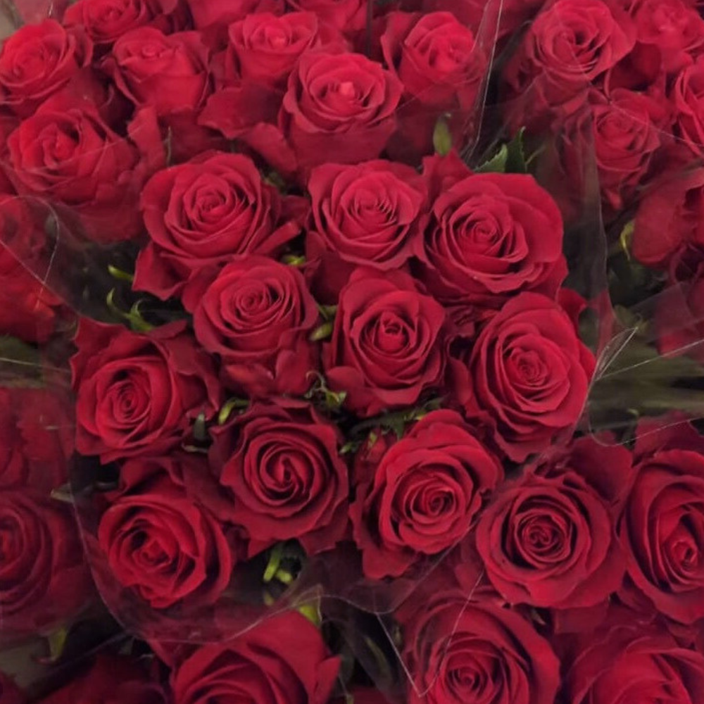 Rose nazca
