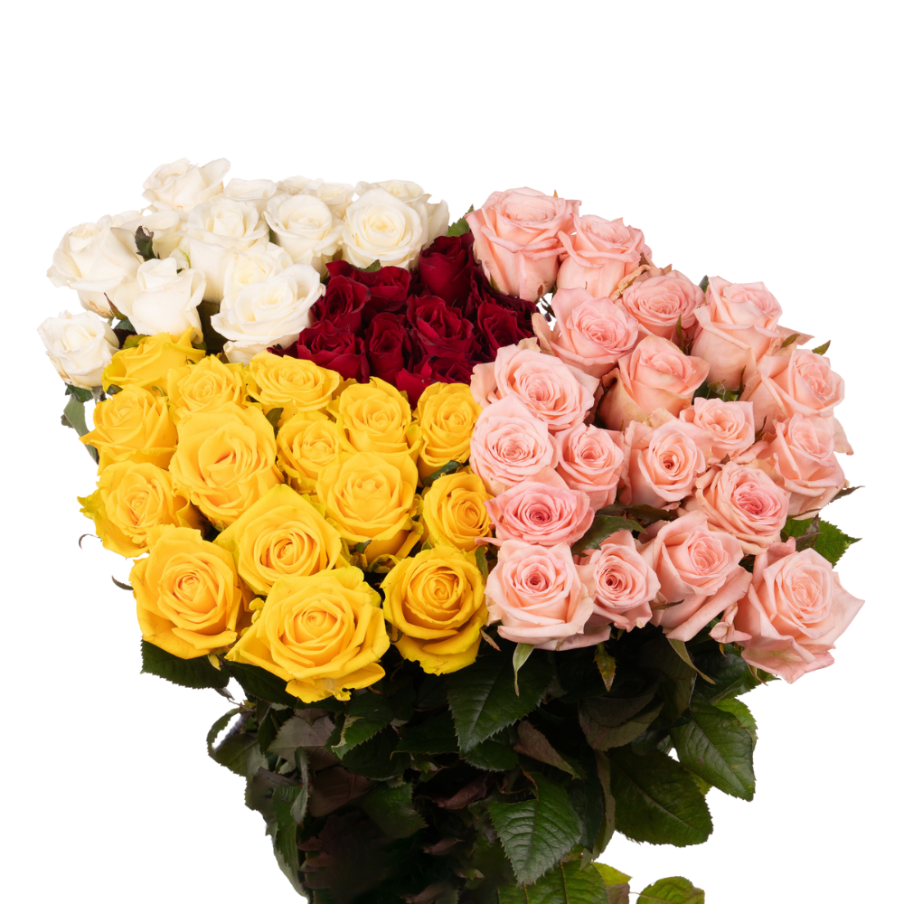 Rose mix