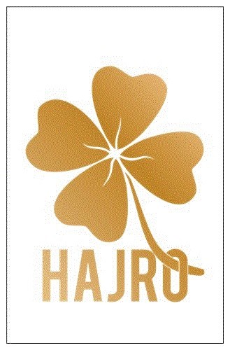 Hajro online winkel