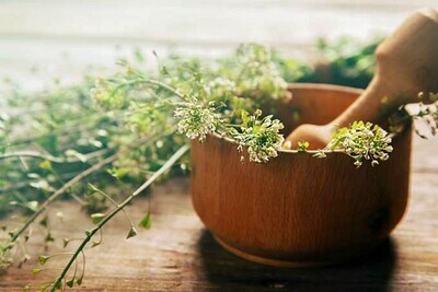 Holistic Therapy, Care, Classes.