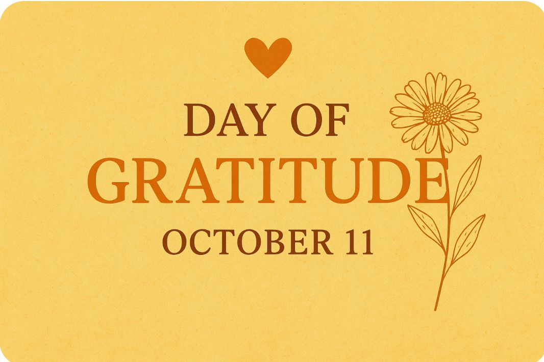 Day Of Gratitude 💜 Medicine Making