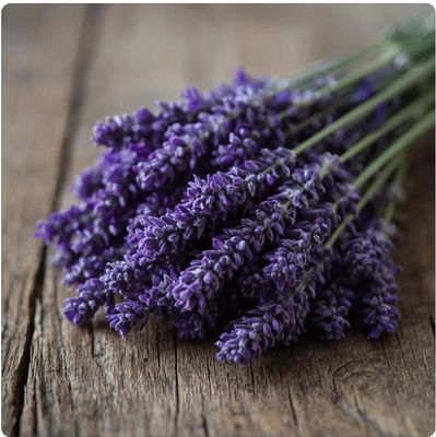 Lavender Bundle