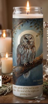 Owl Medicine