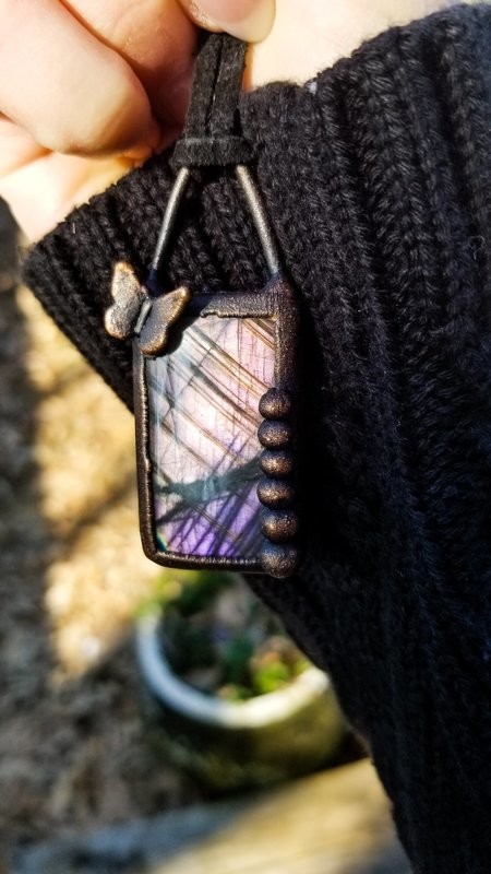 Butterfly’s Rainbow Surprise