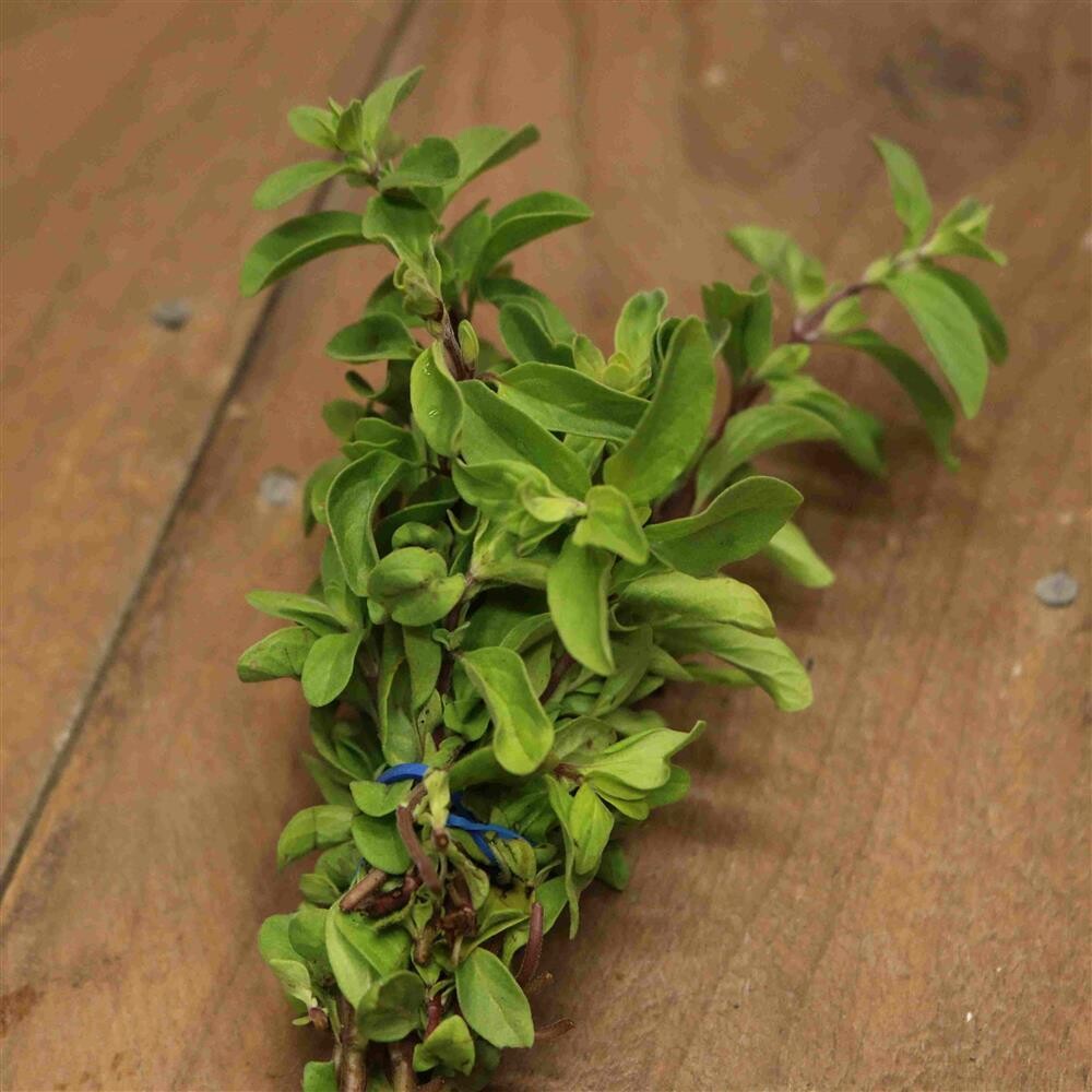 Fresh Marjoram