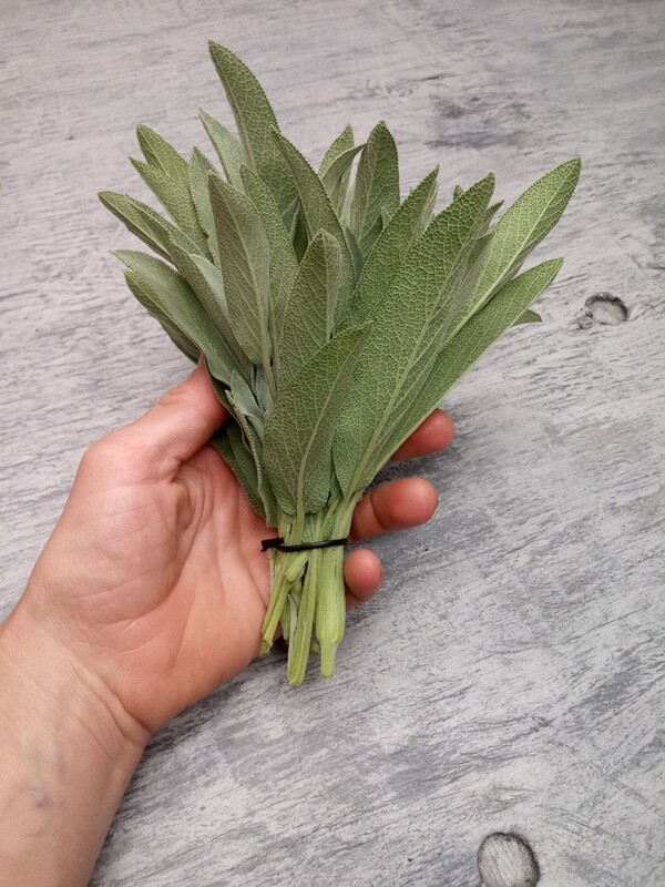 Fresh Sage