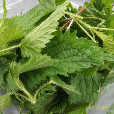 Nettles (4 oz) Nettles (4 oz)