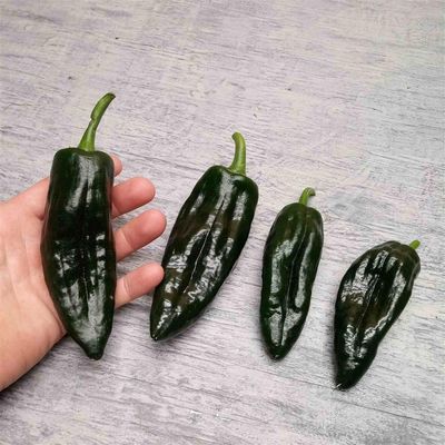 Poblano Peppers (2 for $3)