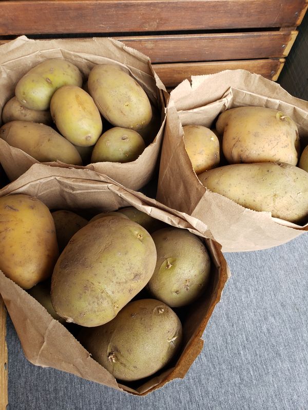 Golden Potatoes (Natascha) - (3 lb. Bag)