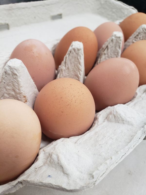 Farm Fresh Eggs