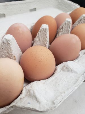 Farm Fresh Eggs