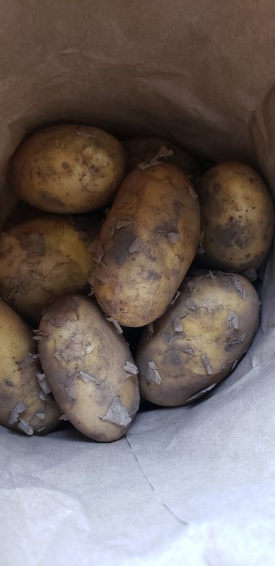 Golden Potatoes (Natascha) - (3 lb. Bag) Golden Potatoes (Natascha) - (3 lb. Bag)
