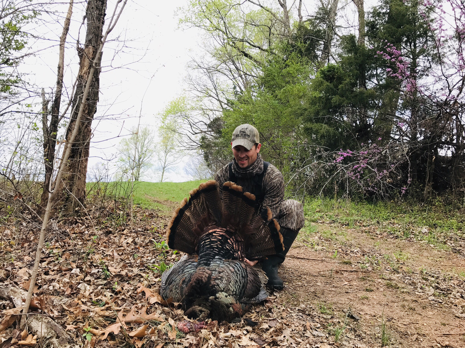 TN guided Turkey Hunt 2 day 