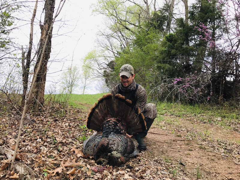 TN guided Turkey Hunt 2 day 