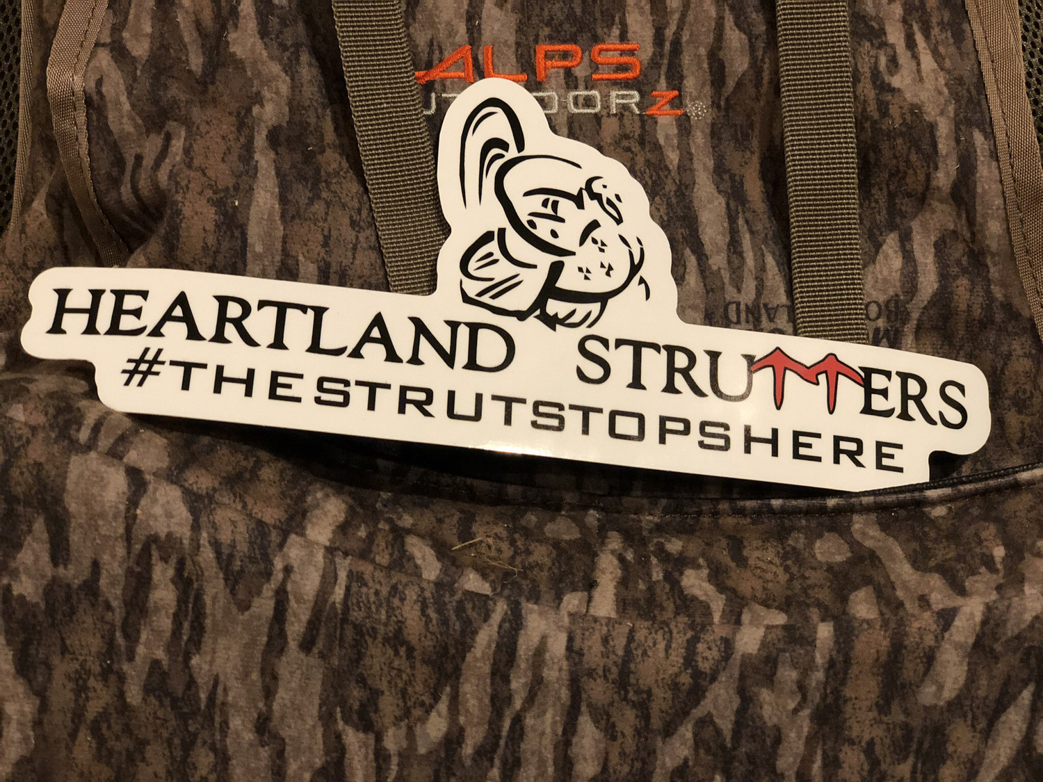 10&quot; Decal
