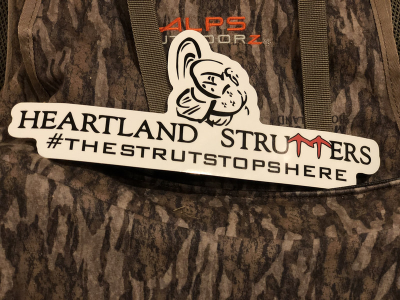 10&quot; Decal
