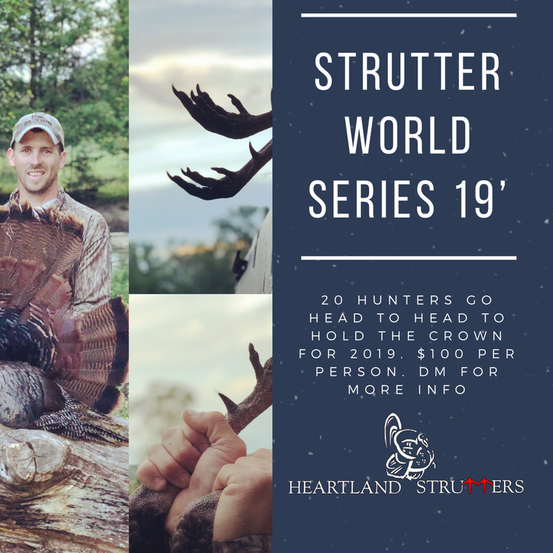 Strutter World Series 2019 