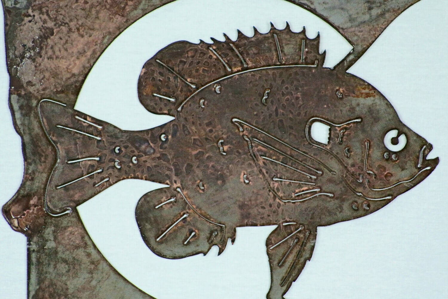 Sunfish MN
