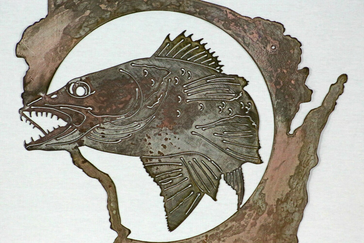 Walleye WI