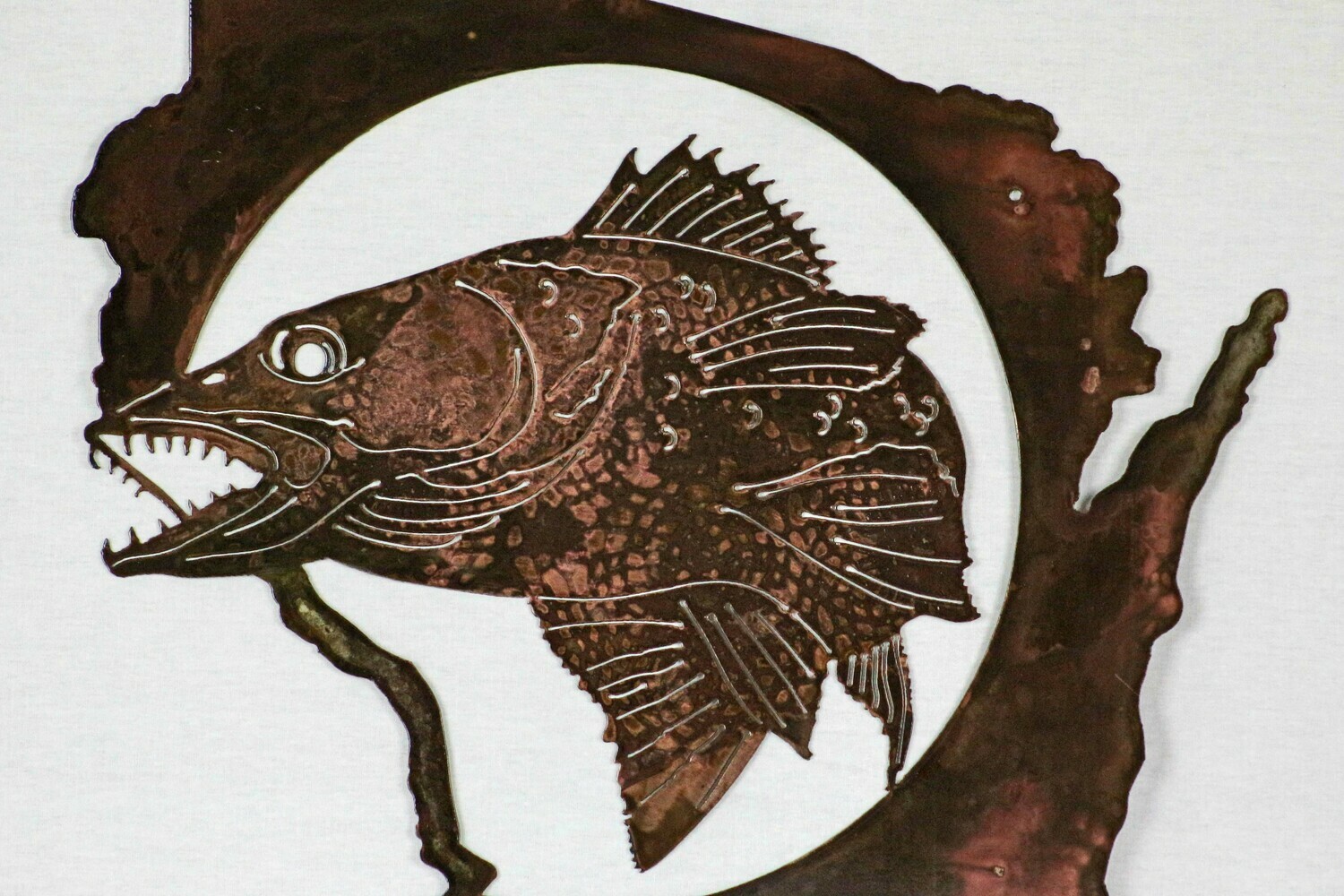 Walleye WI