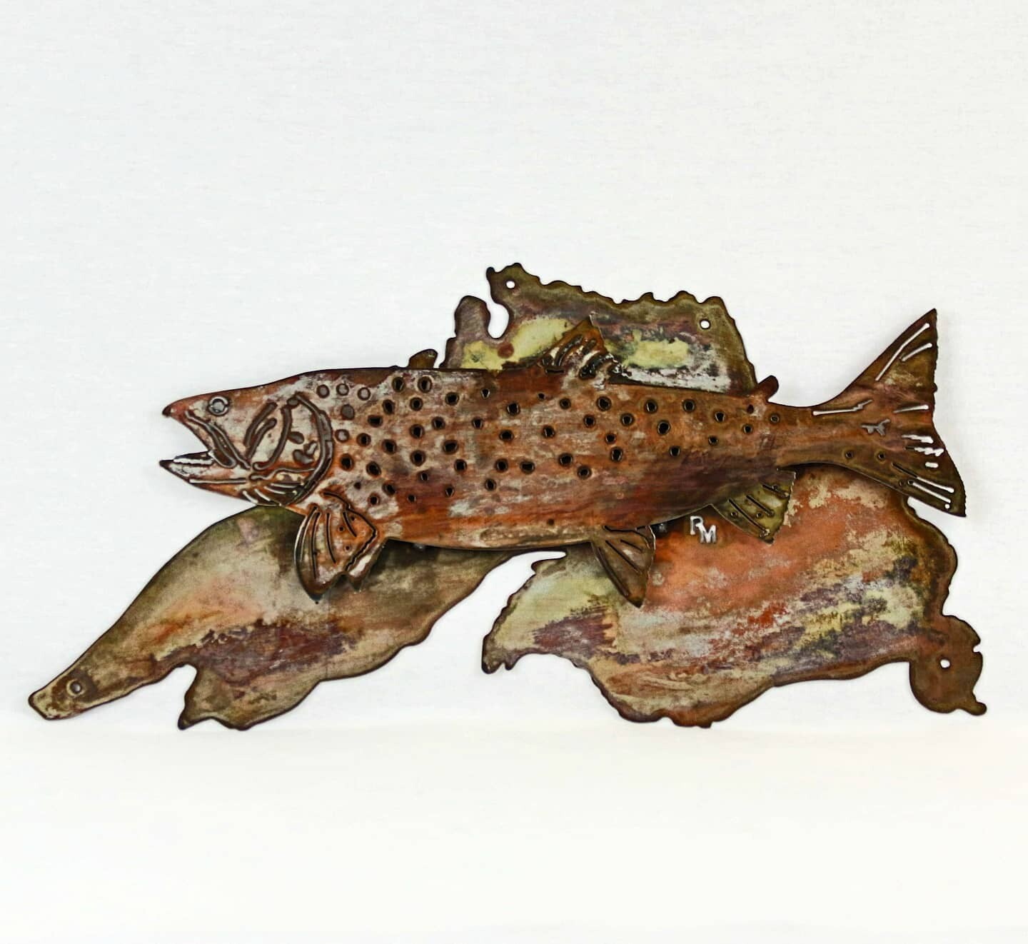 Lake Superior Lake Trout, Mount