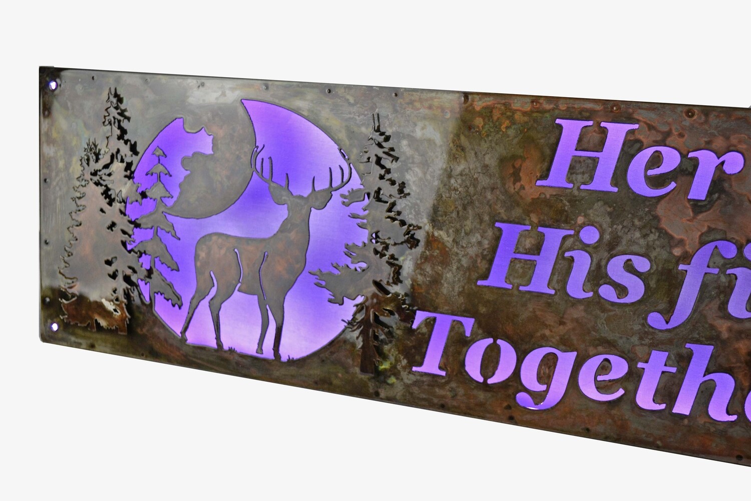 Custom Sign - 3D Framed Lighted - Deer &amp; Walleye