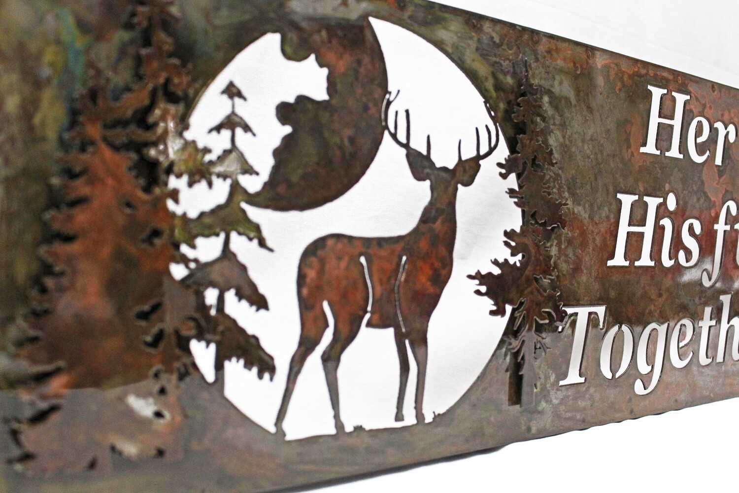 Custom Sign - 3D Framed Lighted - Deer &amp; Walleye
