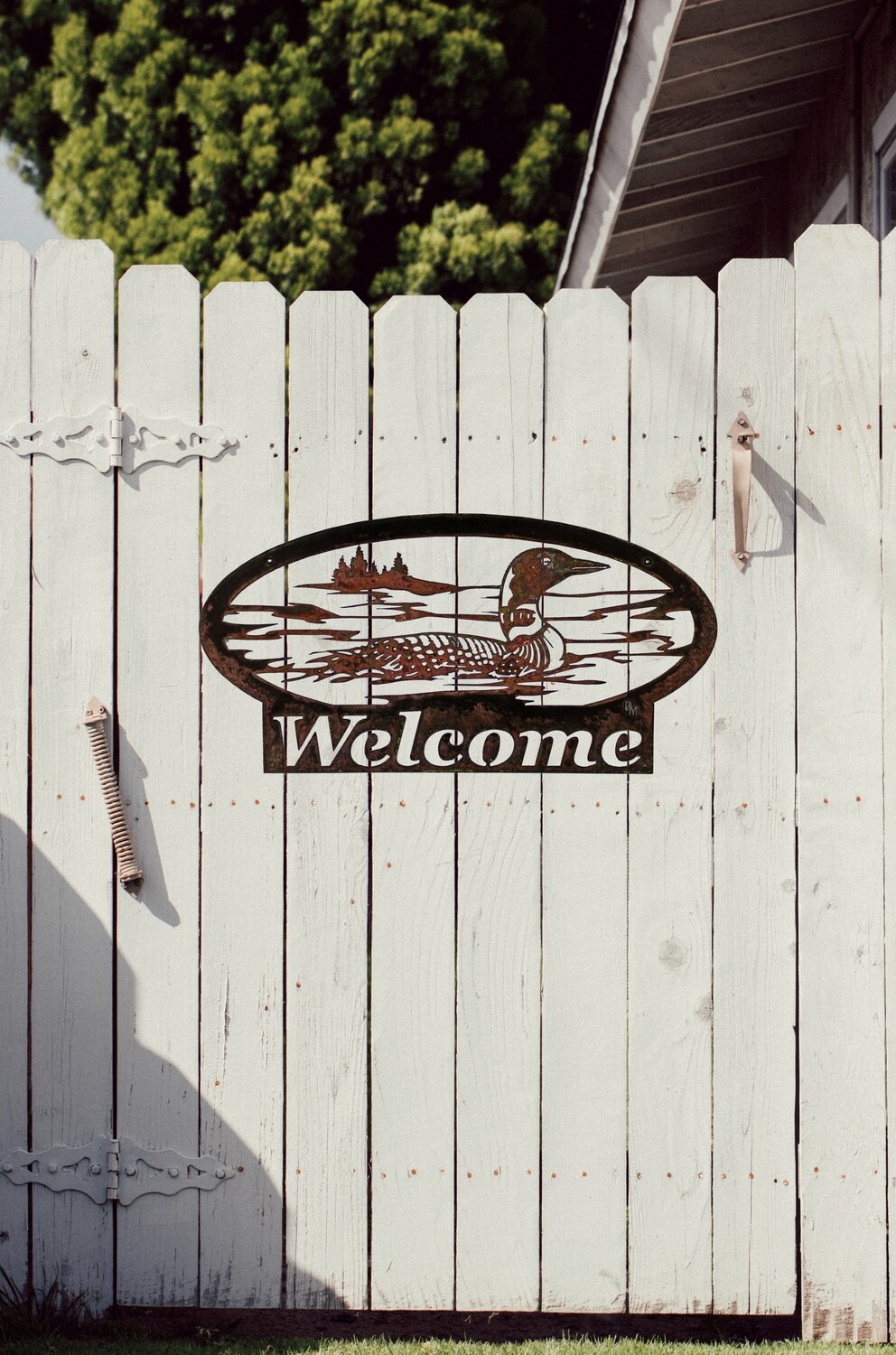 Welcome Loon