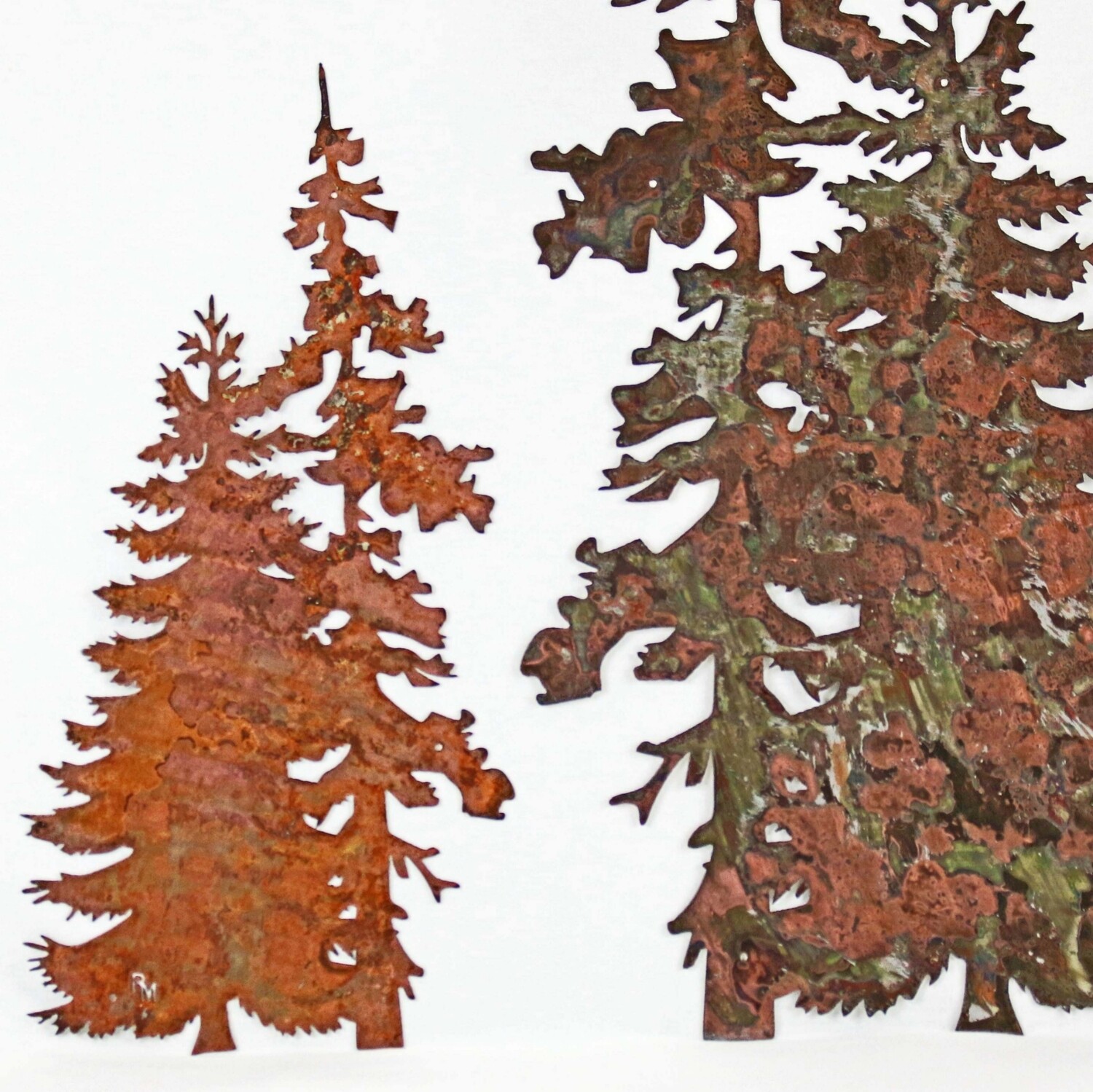 XXL Evergreen Pine Tree