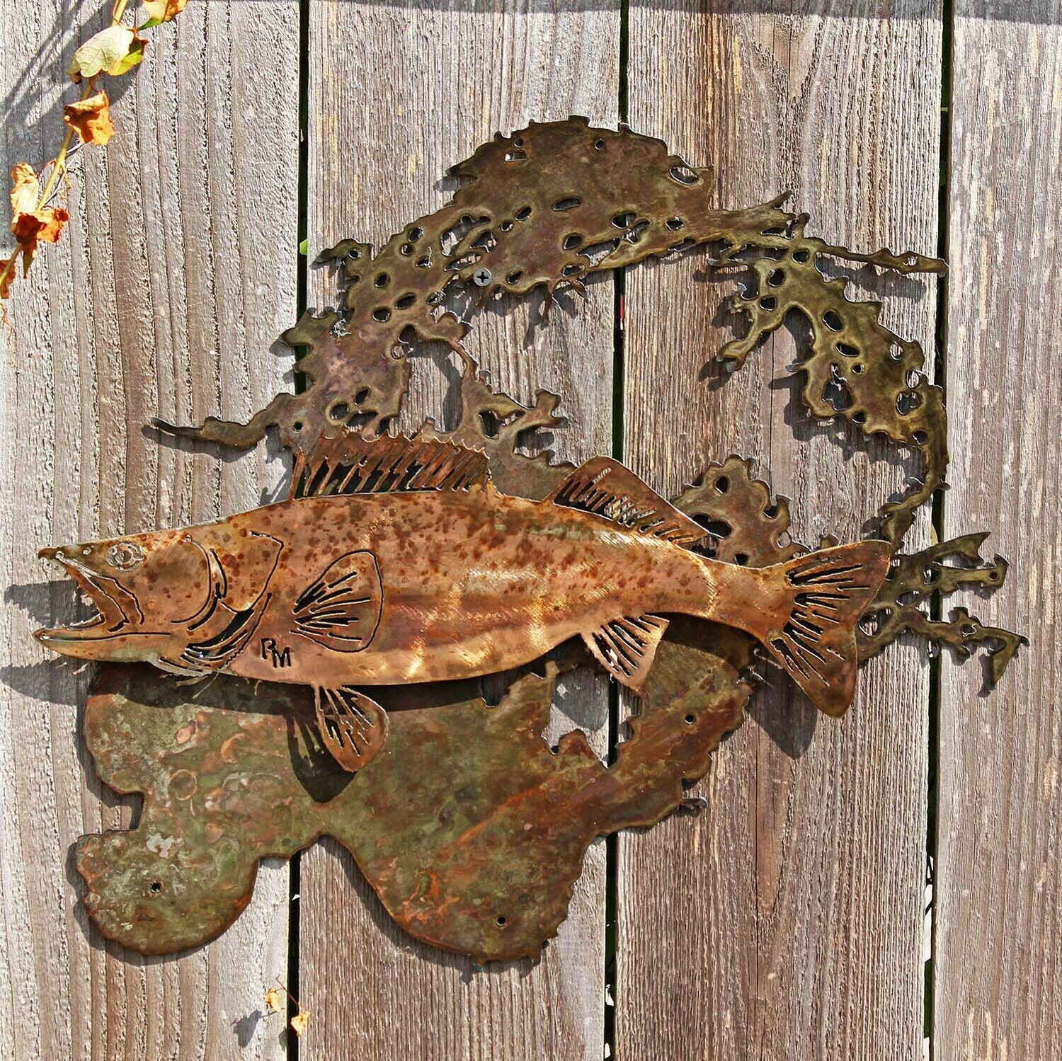 Lake of the Woods Walleye, Mount