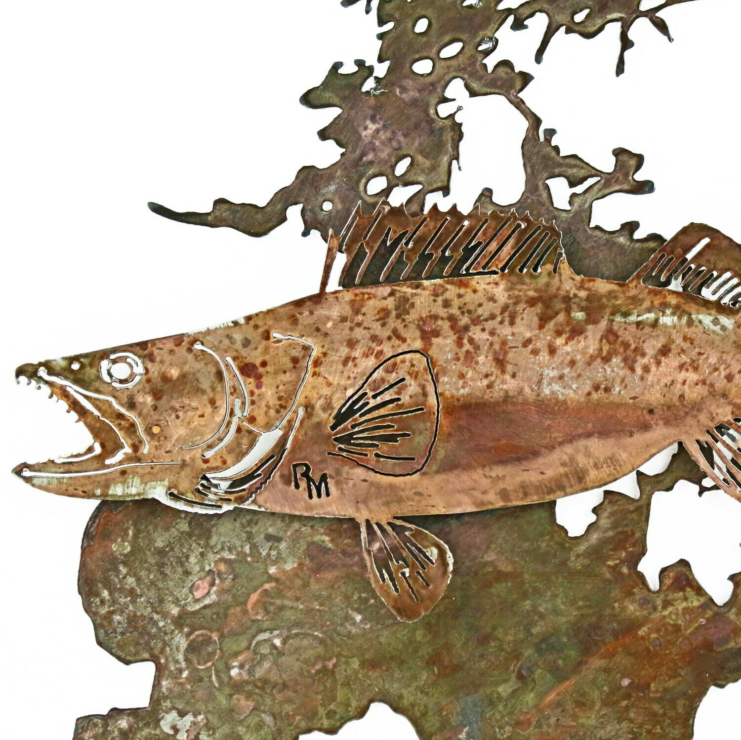 Lake of the Woods Walleye, Mount