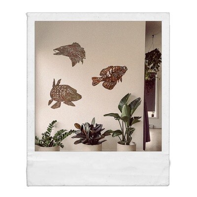 Sets