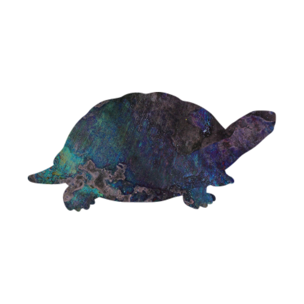 Painter Turtle Magnet